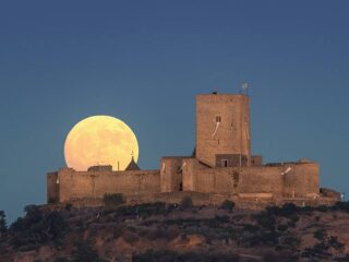 Alcaudete