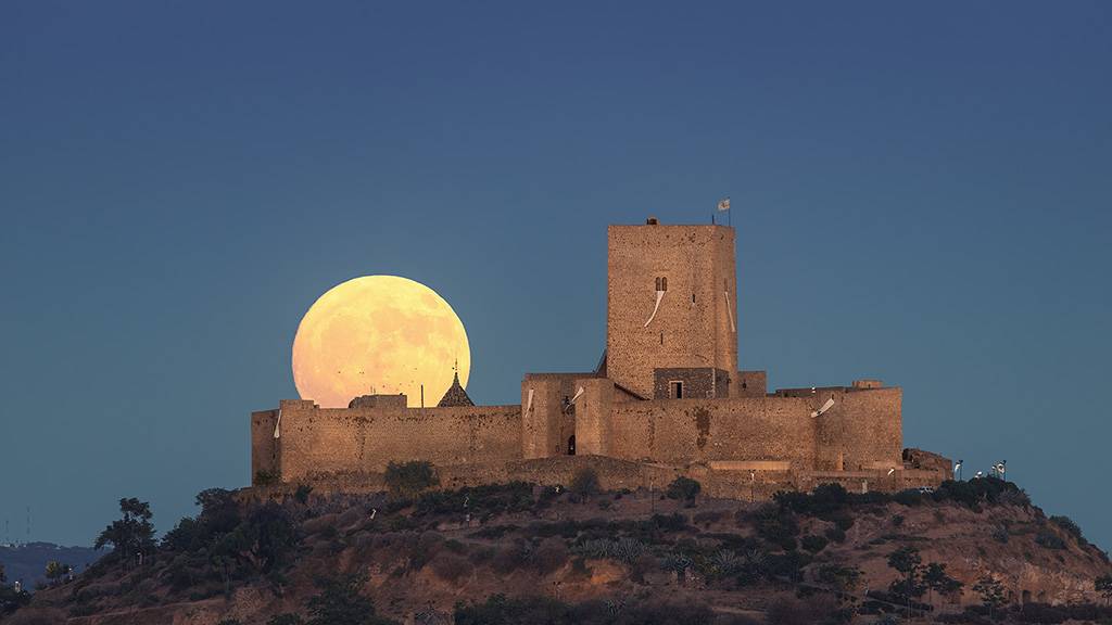 Alcaudete y luna llena 6499