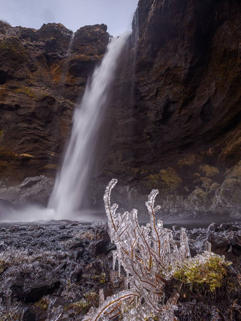 Planta congelada Kvernufoss 7686