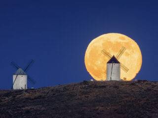 Consuegra