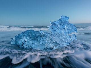 Oveja de hielo