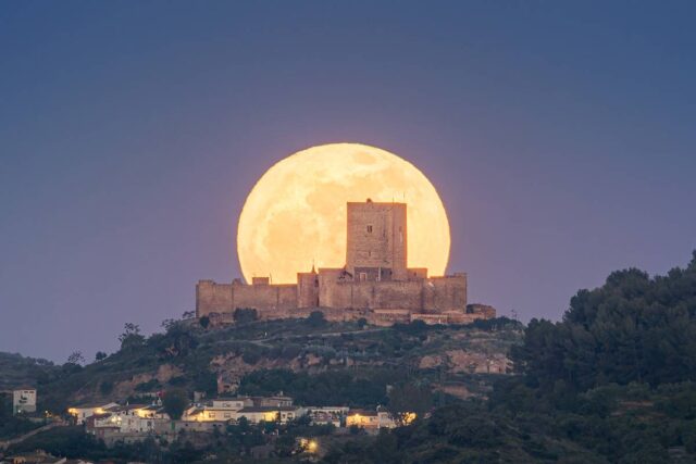 Alcaudete y luna llena 3346